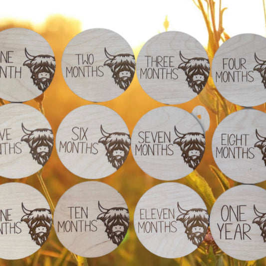 Highland Cow Baby Vital Statistics, Monthly Milestones Markers and Baby Closet Clothes Divider Hangers.