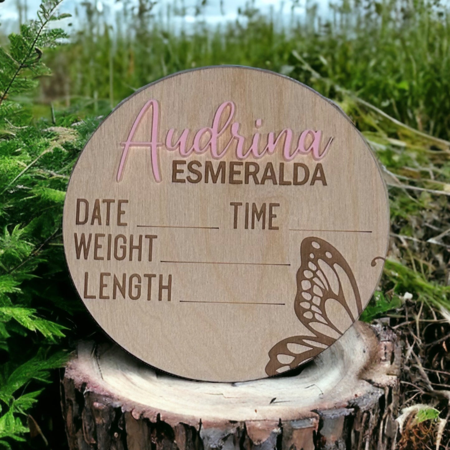 Personalized 3D Butterfly Birth Statistics and Matching Butterfly Monthly Milestones