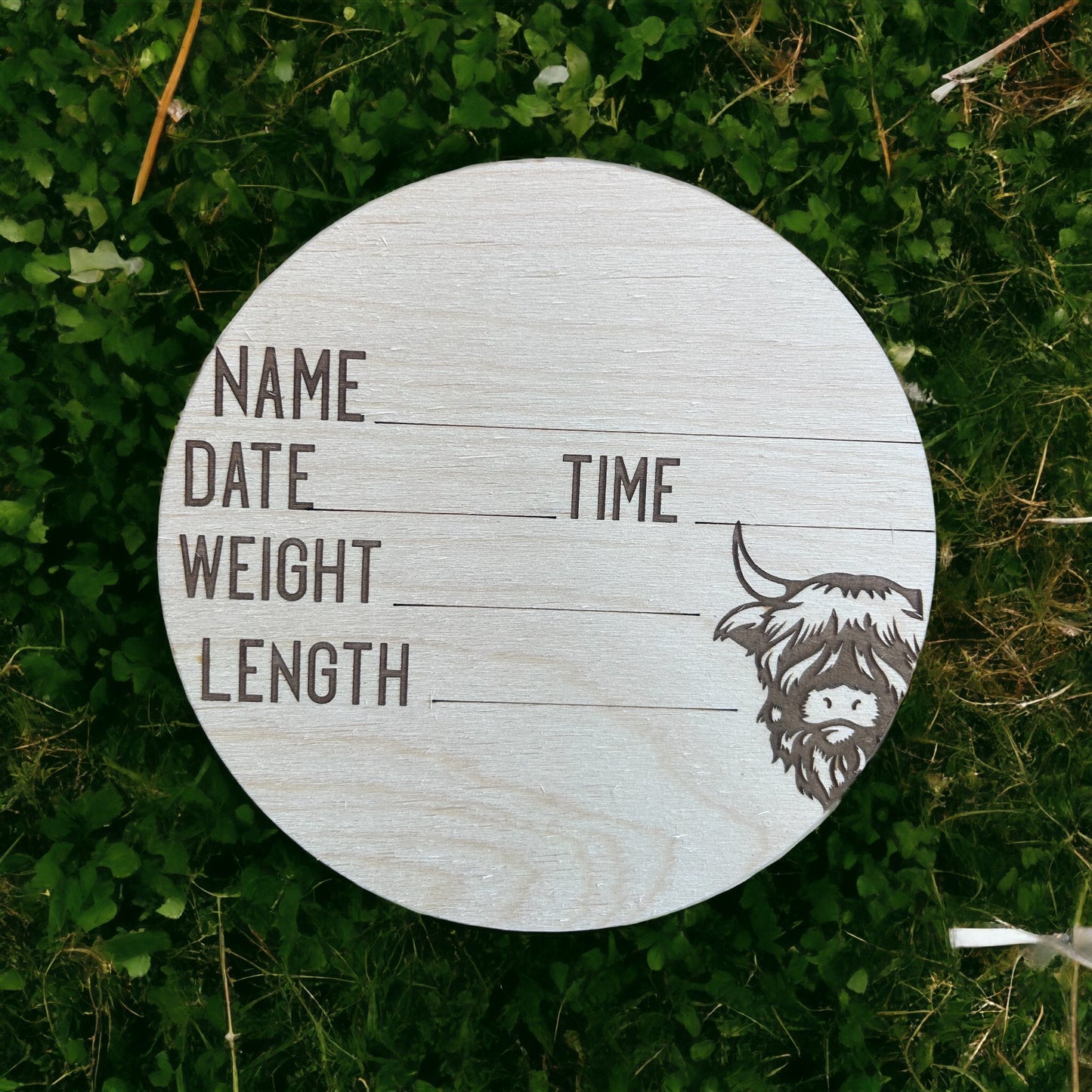 Highland Cow Baby Vital Statistics, Monthly Milestones Markers and Baby Closet Clothes Divider Hangers.